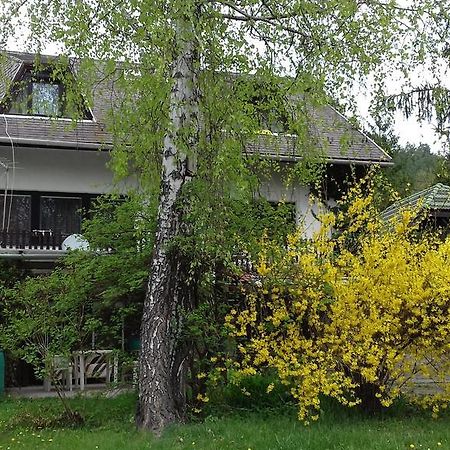 Sara Apartman Paradfuerdo 外观 照片