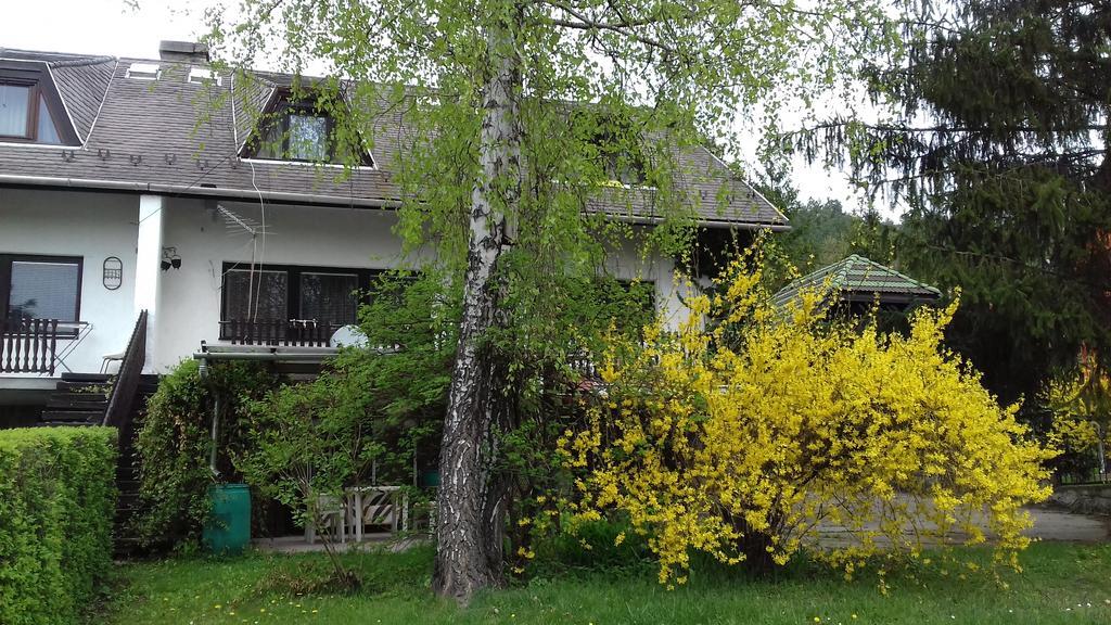 Sara Apartman Paradfuerdo 外观 照片