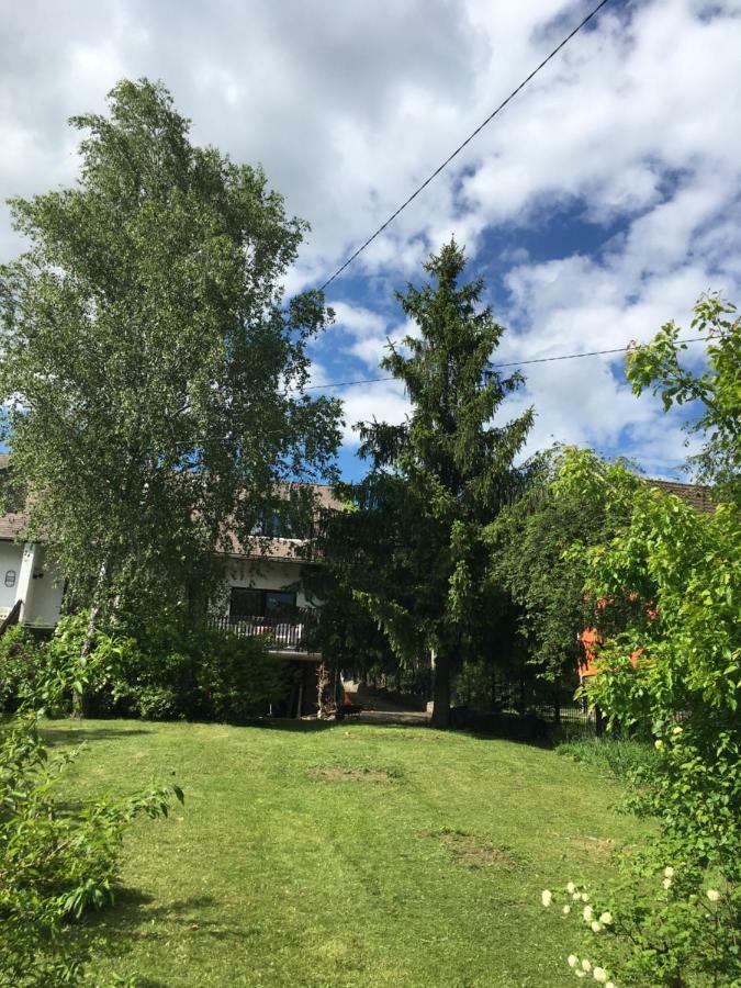 Sara Apartman Paradfuerdo 外观 照片